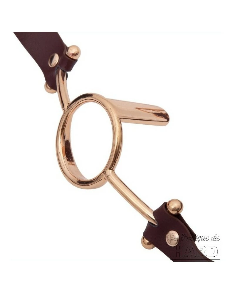 LuxuryFantasy Bâillon O Tongue Bordeaux 5 LuxuryFantasy Bâillon O Tongue Bordeaux – Image 3