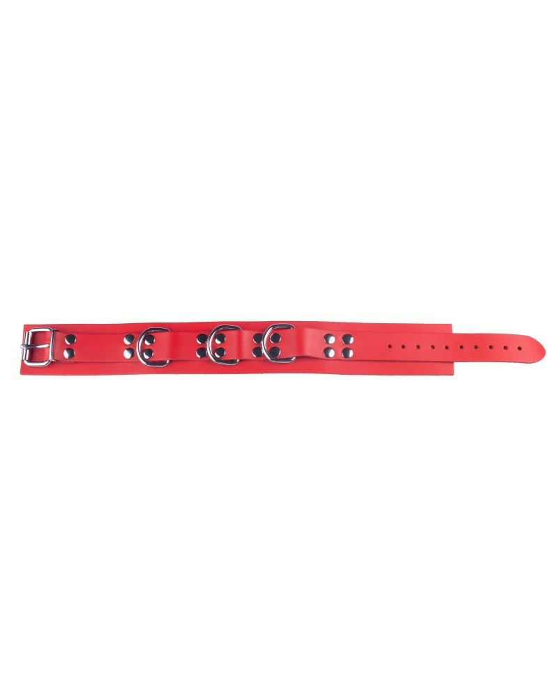The Red Collier En Cuir Ultra Rouge 6 The Red Collier En Cuir Ultra Rouge – Image 4