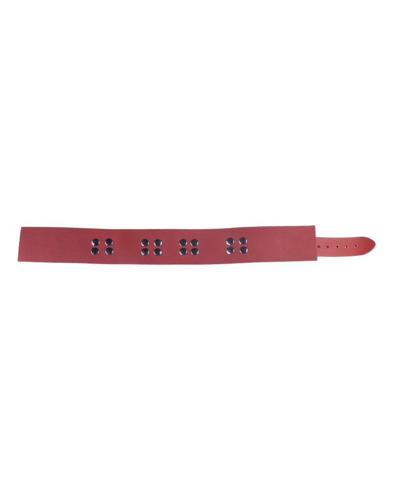The Red Collier En Cuir Ultra Rouge 7 The Red Collier En Cuir Ultra Rouge – Image 5