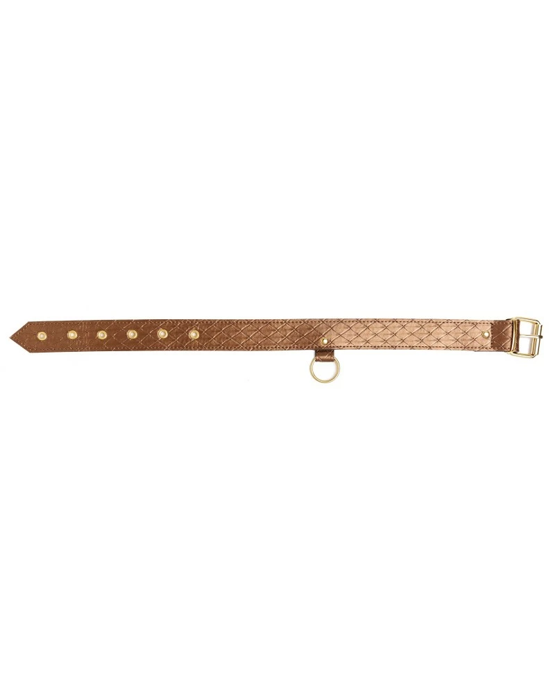 Allure X-Play Collier Et Laisse Darling Pet Bronze 1m 6 Allure X-Play Collier Et Laisse Darling Pet Bronze 1m â Image 4