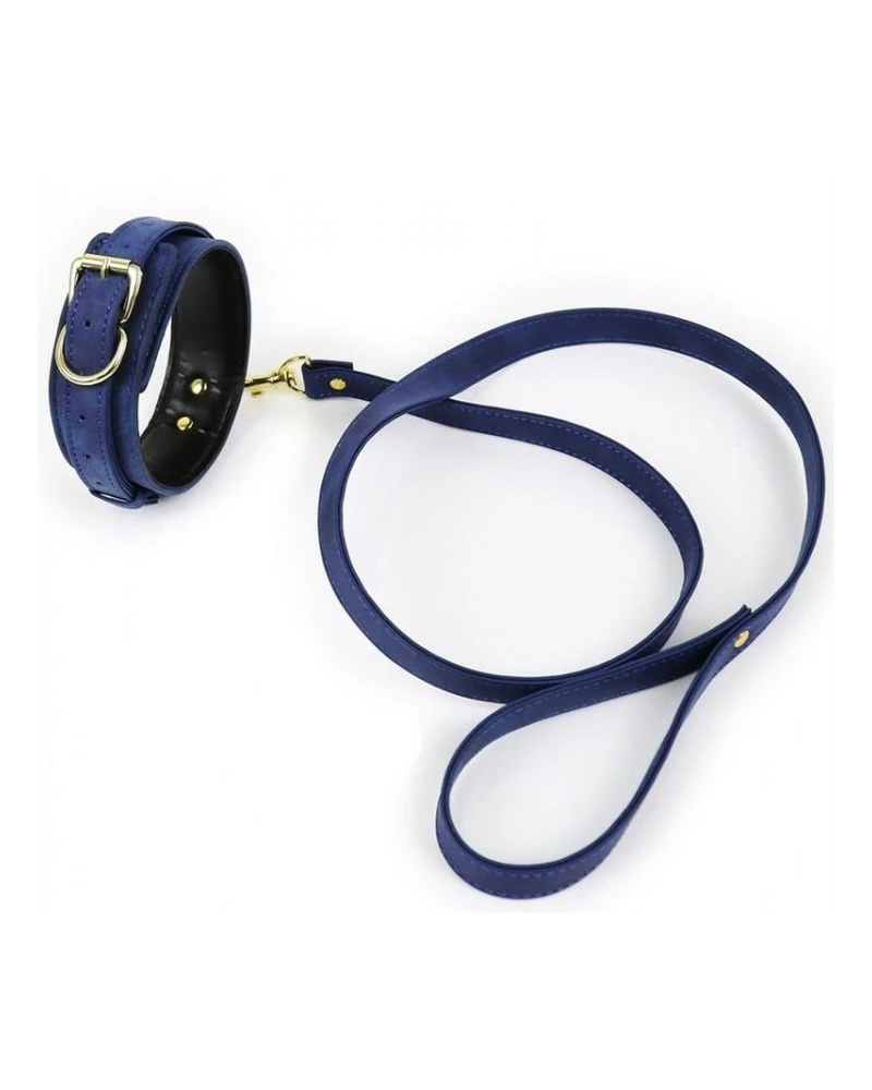 Generique Collier Et Laisse Lighty Bleu 3 Generique Collier Et Laisse Lighty Bleu