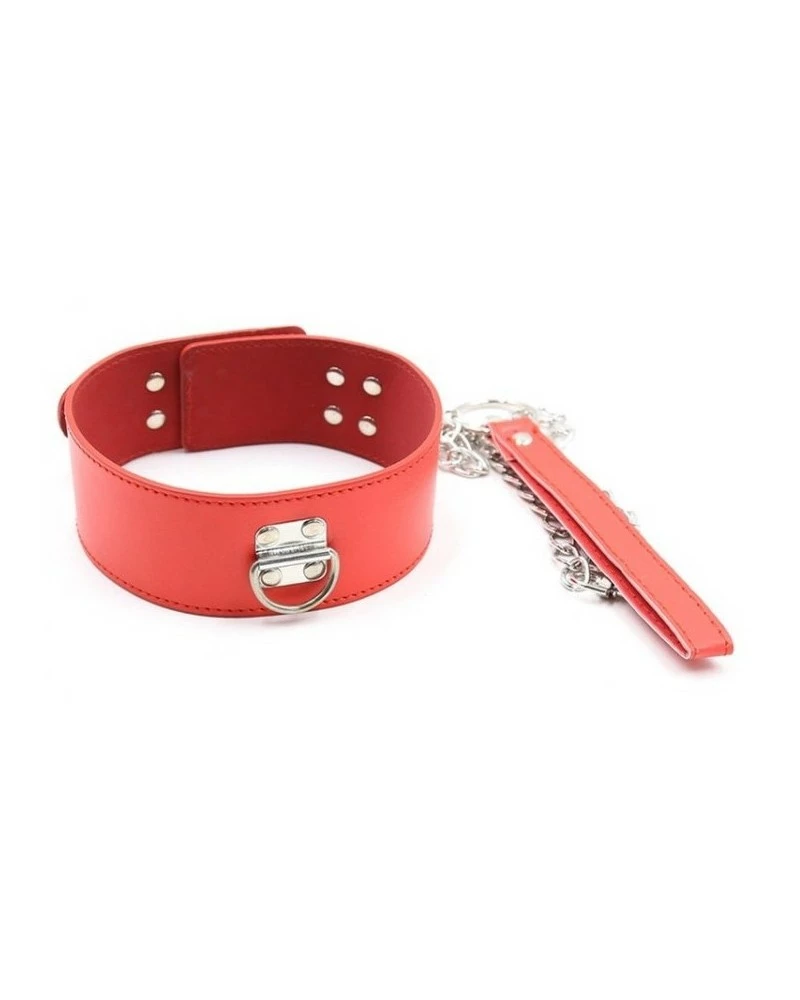 Generique Collier Et Laisse Pin Lock Rouge 3 Generique Collier Et Laisse Pin Lock Rouge