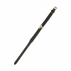 Generique Collier-Laisse Master Me Noir 11 Generique Collier-Laisse Master Me Noir -GODES EN SILICONE Soldes collier laisse master me noir 3