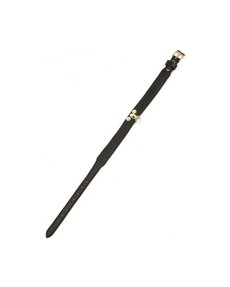 Generique Collier-Laisse Master Me Noir 6 Generique Collier-Laisse Master Me Noir – Image 4