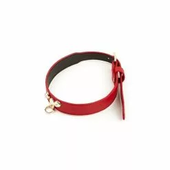 La Boutique Du Hard Collier-Laisse Master Me Rouge -GODES EN SILICONE Soldes collier laisse master me rouge 2