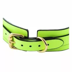 Generique Collier-laisse Phosphorescent Luminous Vert -GODES EN SILICONE Soldes collier laisse phosphorescent luminous vert 2