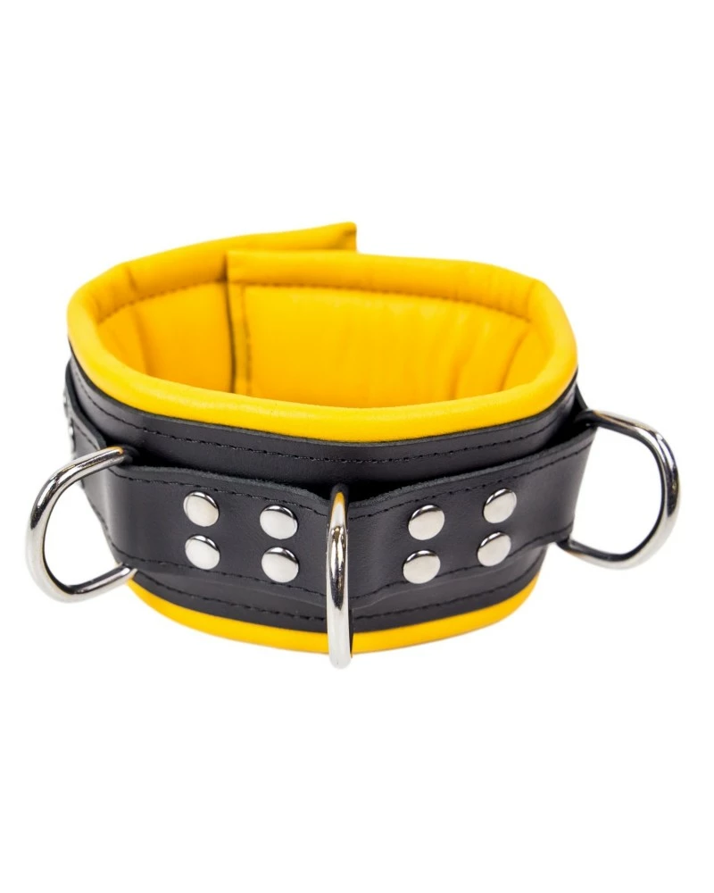 The Red Collier Rembourré En Cuir 3 Anneaux D Jaune 3 The Red Collier Rembourré En Cuir 3 Anneaux D Jaune